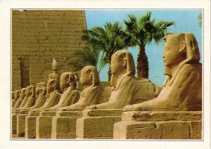 CPM EGYPTE Gardien traditionnel des lieux de culte, le sphinx (343981)