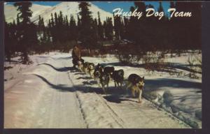 Husky Dog Team Postcard BIN