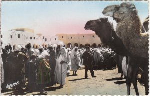 Algeria Ghardaia market scenes and types photo postcard