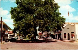 Postcard Heart of Downtown Zephyr Hills, Florida~131753