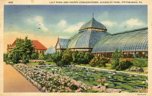 PA - Pittsburgh, Schenley Park, Lily Pond & Phipps Conservatory