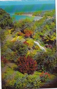 Jamaica View From Mountains Overlooking Ocho Rios