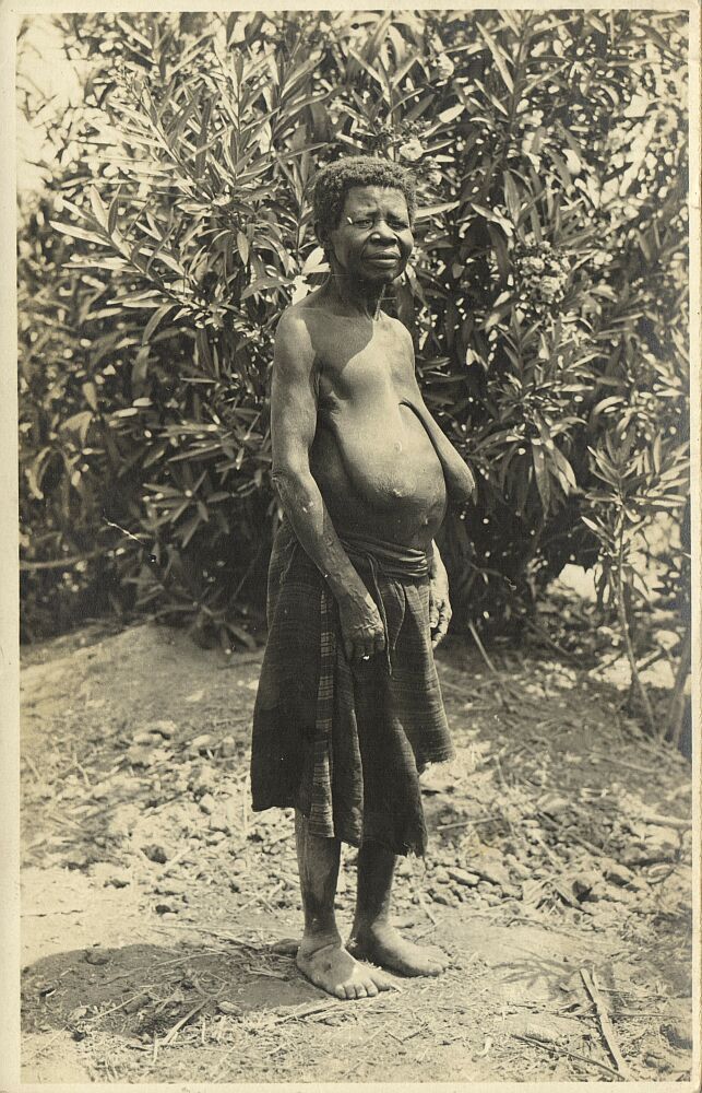 belgian congo, Group of Topless Native Mandibu Women (1920s) Postcard