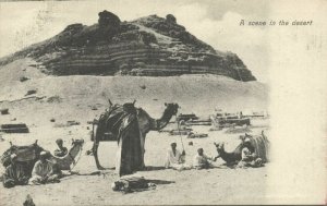 egypt, A Scene in the Desert, Camel (1899) Lichtenstern & Harari 17