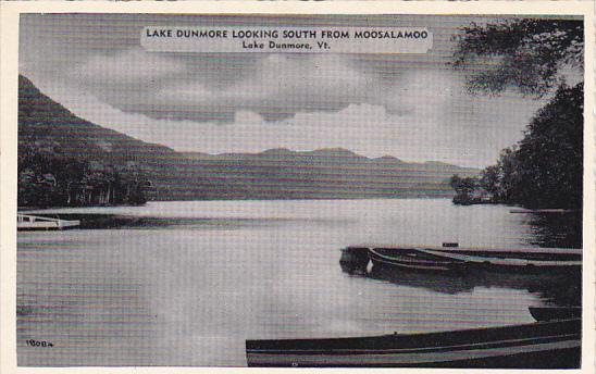 Vermont Lake Dunmoore Looking South From Moosalamoo Dexter Press