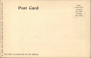 Riverside California CA Carnegie Library c1910 Vintage Postcard