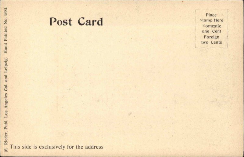 Riverside California CA Carnegie Library c1910 Vintage Postcard