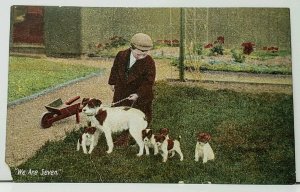 Boy & His Adorable Puppies We are Seven England Postcard I3