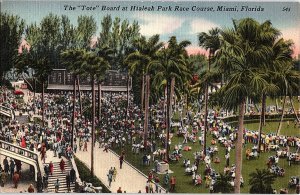 Postcard PARK SCENE Miami Florida FL AI1757