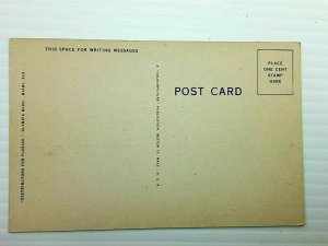 Vintage Postcard 1930's Hotel Row Overlooking Bayfront Park Miami FL Florida