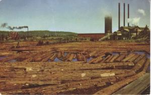 Lumbering Pacific Northwest Union Oil Company Advertising Postcard