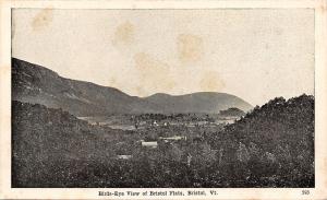 Bristol Vermont~Birds-Eye View: Bristol Flats~1905 B&W Postcard