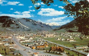 JACKSON, WY Bird's Eye View Wyoming c1950s Vintage Postcard