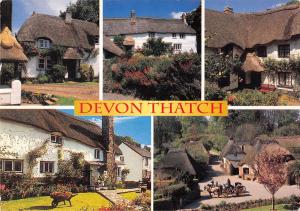 uk35514 devon thatch  uk lot uk 2