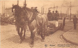 br104994 corporations horses anvers belgium antwerpen