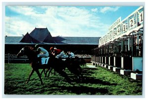 c1950's Saratoga Race Tracks Horse Turf Course Saratoga Springs NY Postcard 