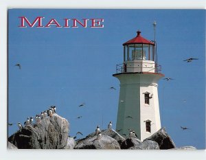 Postcard Machias Seal Island, Maine