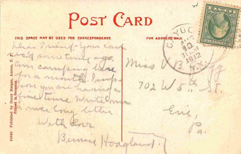 High School Cayuga New York 1912 postcard