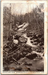 Old Hundred Brook on State Reservation, Mount Tom MA Vintage Postcard W17