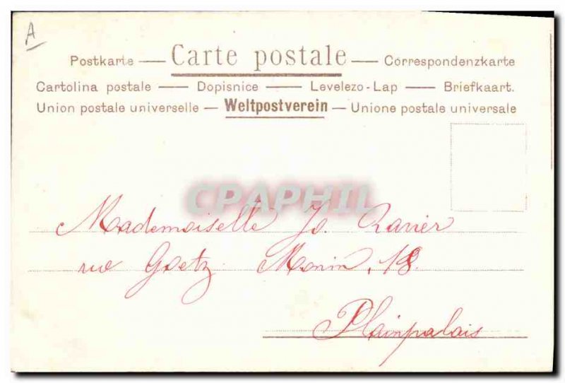 Old Postcard Fun Children Pot Cat Kitten