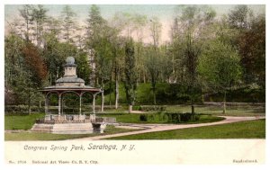 New York  Saratoga  Congress Spring Park