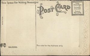 Keuka Lake NY Steamer Boat Steuben c1910 Postcard