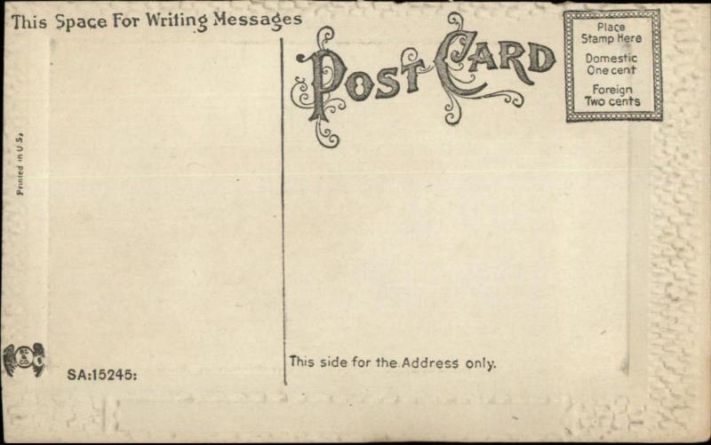 Keuka Lake NY Steamer Boat Steuben c1910 Postcard