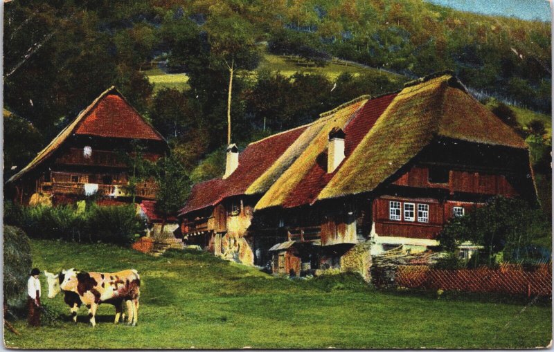 Beautiful Landscape Farm Vintage Postcard C113