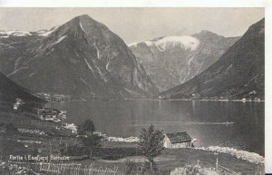 Norway Postcard - Partie i.Esefjord Balholm - TZ12211