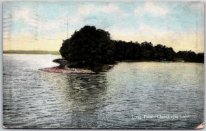 1911 Long Point Chautauqua Lake New York NY Fishing & Swimming Posted Postcard