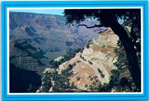 Postcard - The famous Mule Train, Grand Canyon National Park - Arizona