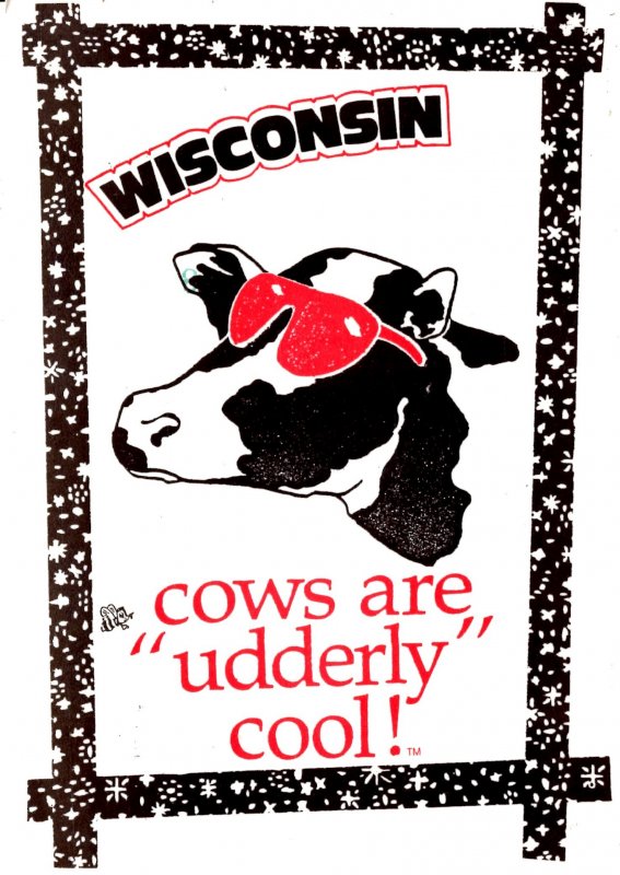 Wisconsin - cows are udderly cool! - Cow with Sunglasses - Continental Size