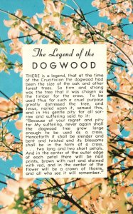 Vintage Postcard The Legend of the Dogwood Charleston South Carolina Tichnor Pub