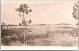 General View of Lake or River RPPC Real Photo South Dakota? Vintage Postcard