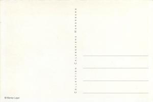 Photo postcard cats Werner Layer