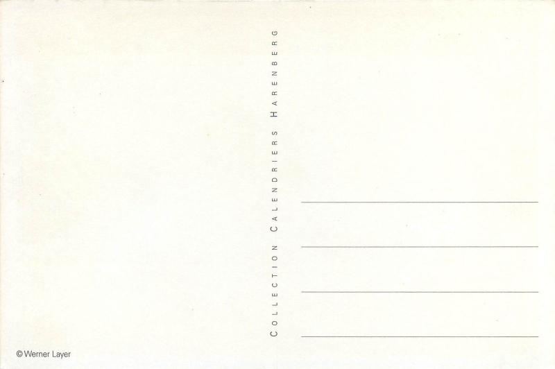 Photo postcard cats Werner Layer