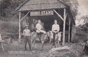 Pennsylvania Delaware Water Gap Ready For A Mountain Climb Couple Riding Donk...