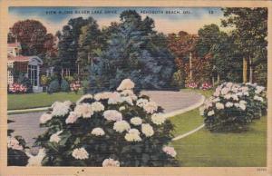 View Along Silver Lake Drive Rehoboth Beach Delaware 1946