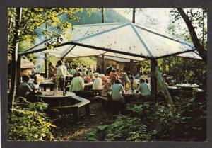 AK Gold Creek Salmon Bake Juneau Alaska Postcard