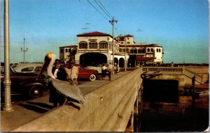 Vtg St Petersburg Florida FL Curious Pelican Pete Recreation Pier 1960s Postcard