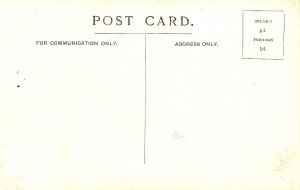 Grenada - Cocoa Tree