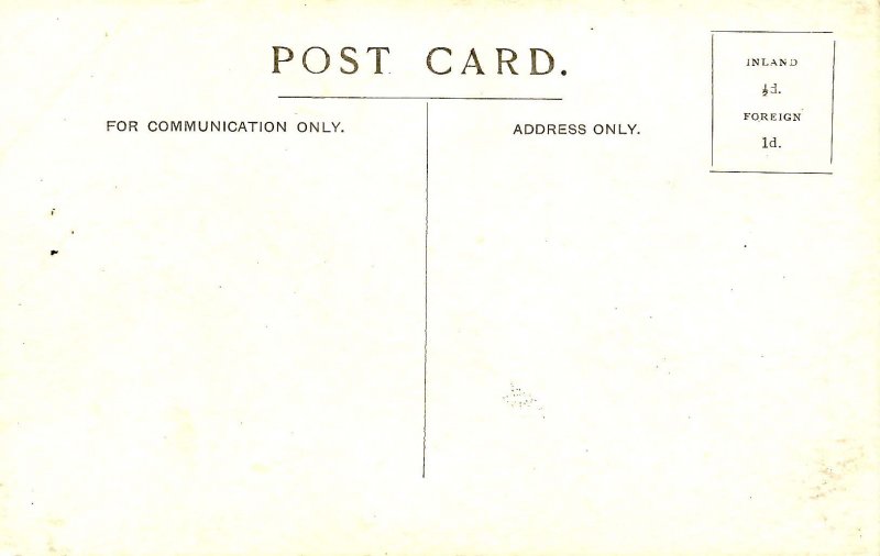 Grenada - Cocoa Tree