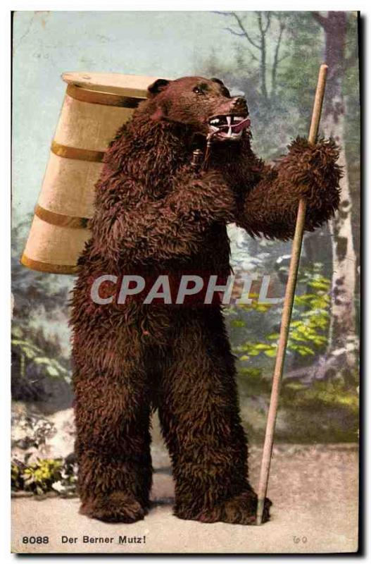 Old Postcard Bear Der Berner Mutz