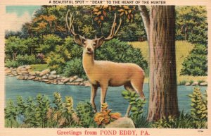 Vintage Postcard 1944 Greetings From Pond Eddy Pennsylvania Beautiful Spot Deer