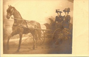 RPPC 2 Women flower hats horse carriage real photo postcard PMO Baden Studio