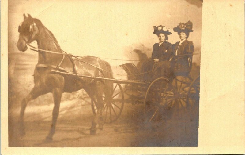 RPPC 2 Women flower hats horse carriage real photo postcard PMO Baden Studio