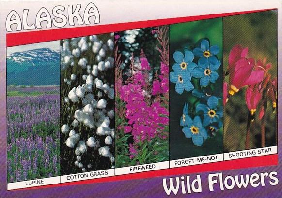 Alaska Anchorage Alaska Abounds With Floral Beauty 1997