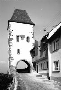 BG21797 breisach rhein   germany CPSM 14.5x9cm