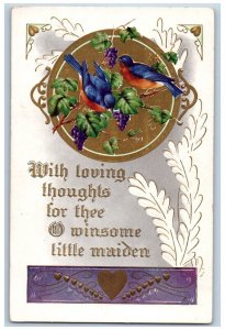 Valentine Postcard Birds Eating Grapes With Loving Thoughts Embossed c1910's