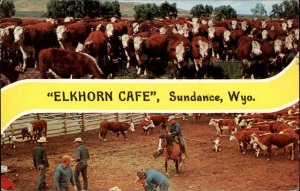 Sundance Wyoming WY Cowboys Cattle Farm Elkhorn Cafe c1950s-60s Postcard